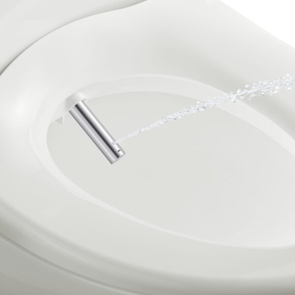 Bidet sproeier