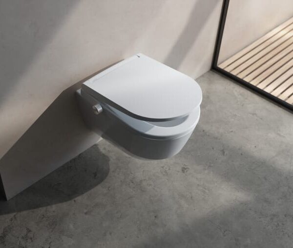 Alternative view of Laufen Cleanet Sit