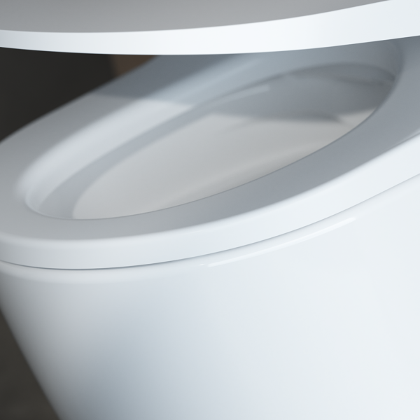 Laufen Cleanet Sit - met Wandcloset - Afbeelding 7