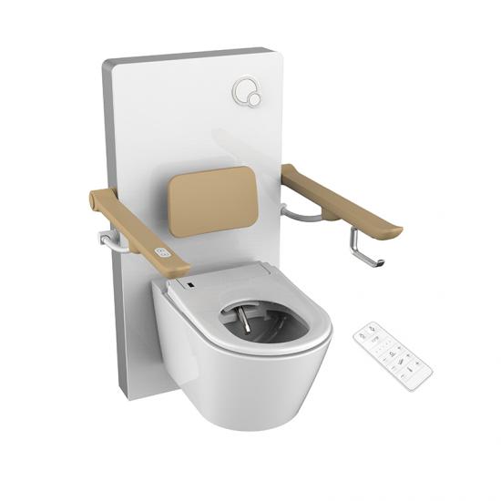 Elektrische Toiletlift met Geïntegreerd Toilet