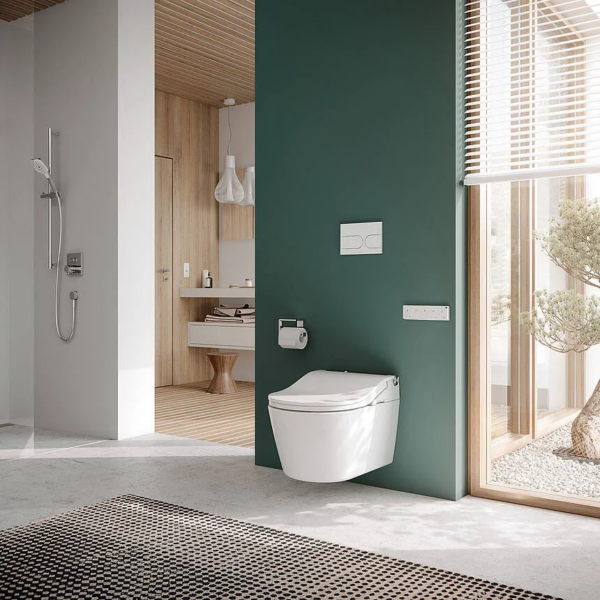 Alternative view of WASHLET® RW - zilveren details